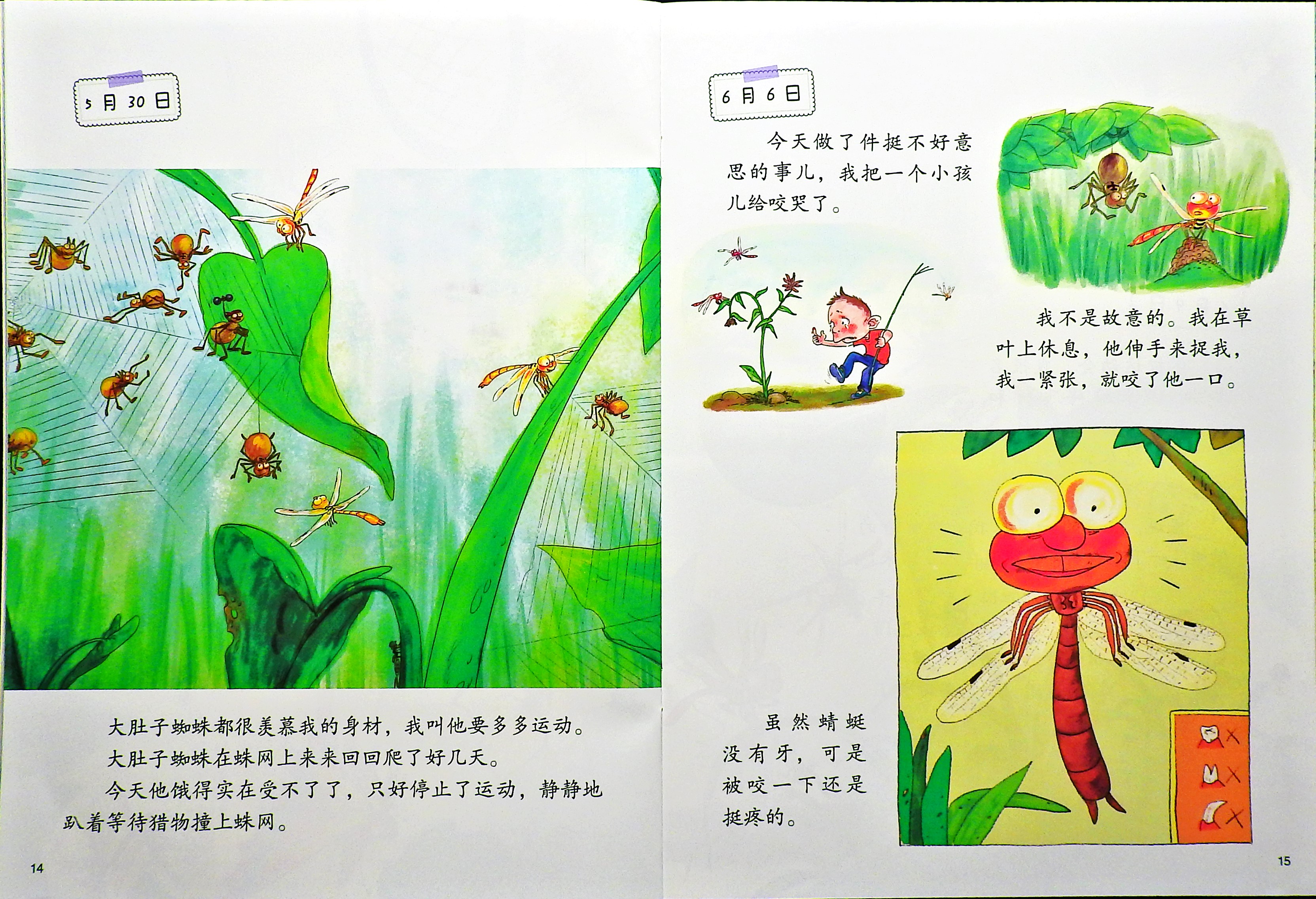 蜻蜓的日记 (09),绘本,绘本故事,绘本阅读,故事书,童书,图画书,课外阅读